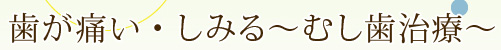 歯が痛い・しみる～むし歯治療～